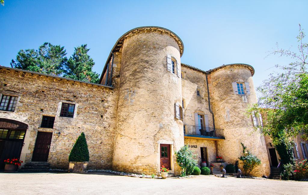 Château D'igé Exterior foto